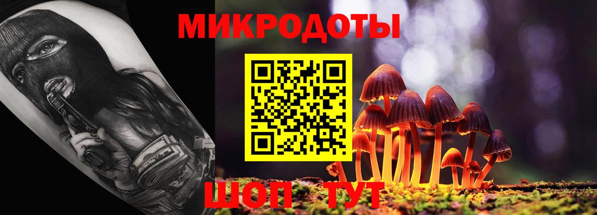 сколько стоит  Галлюциногенные грибы прущие грибы  Вход с VPN  Большой Камень  Псилоцибиновые грибы Psilocybine cubensis 